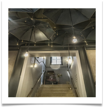 looking up 6 - Rob Shaw